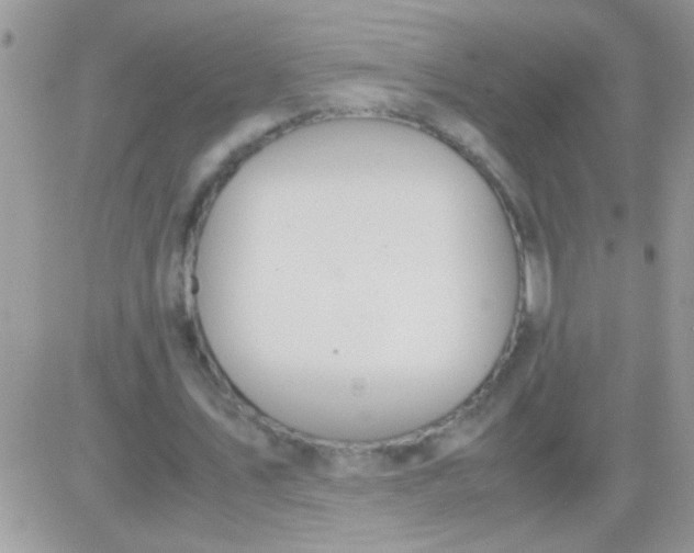 X0000081370579200701252016