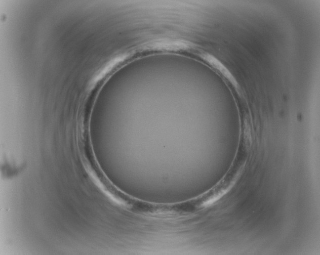 X0000081370581200701252016