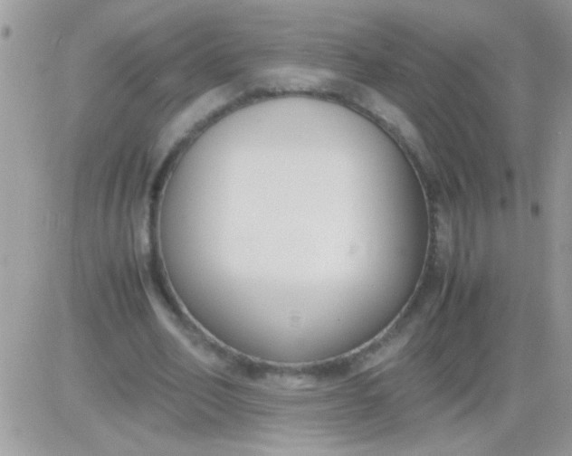 X0000081370582200701252016