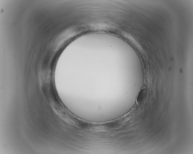 X0000081370583200701252016