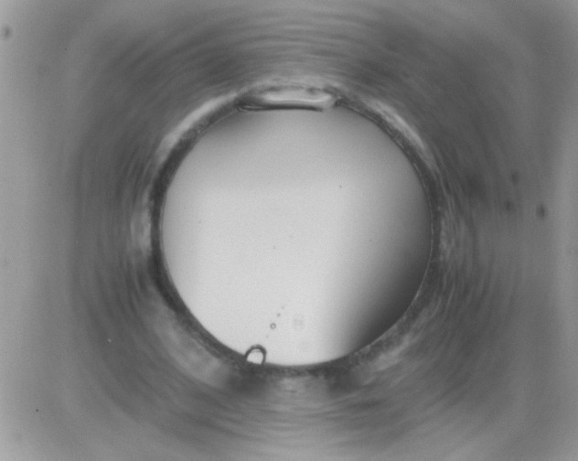 X0000081370584200701252016