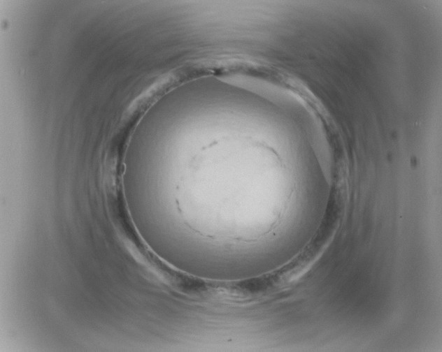 X0000081370585200701252016