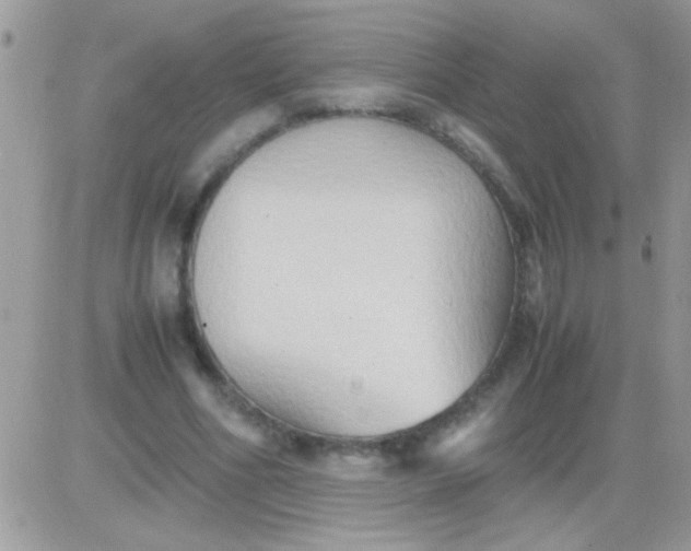 X0000081370586200701252016