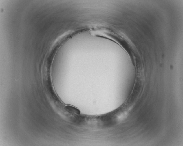 X0000081370587200701252016