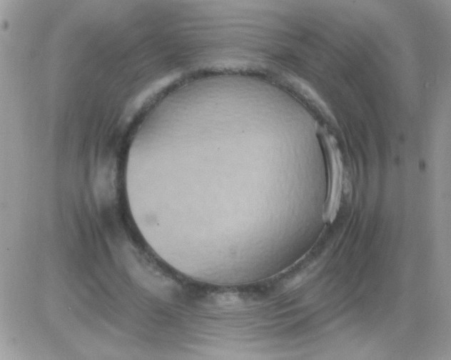 X0000081370588200701252016