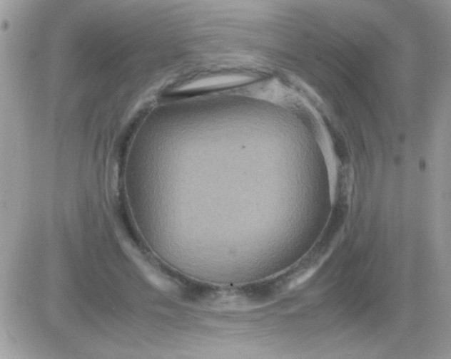 X0000081370589200701252016