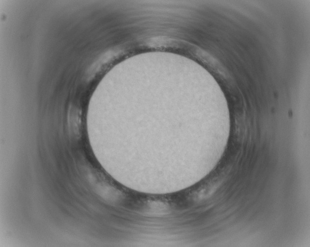 X0000081370592200701252016