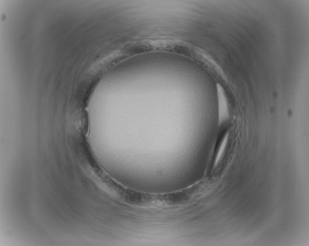 X0000081370593200701252016