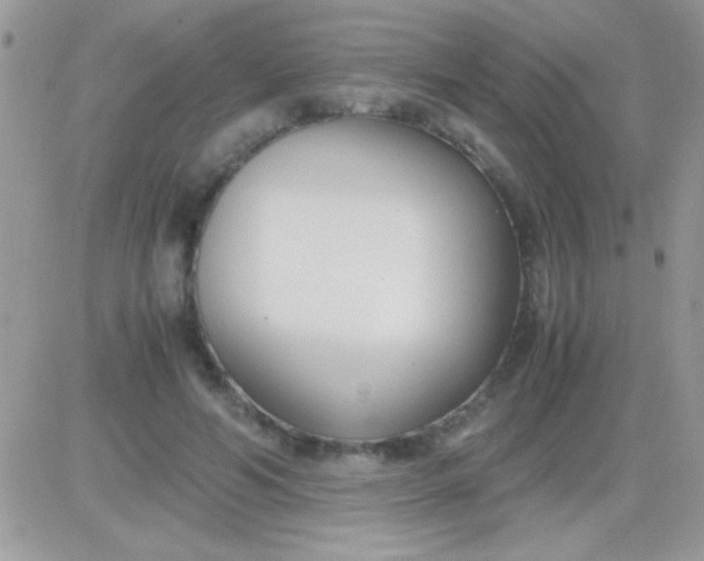 X0000081370594200701252016