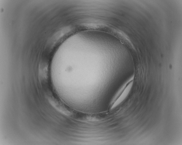 X0000081370596200701252016