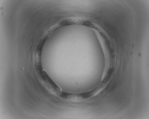 X0000081370597200701252016