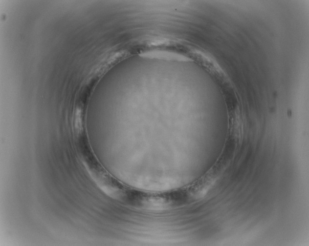 X0000081370598200701252016