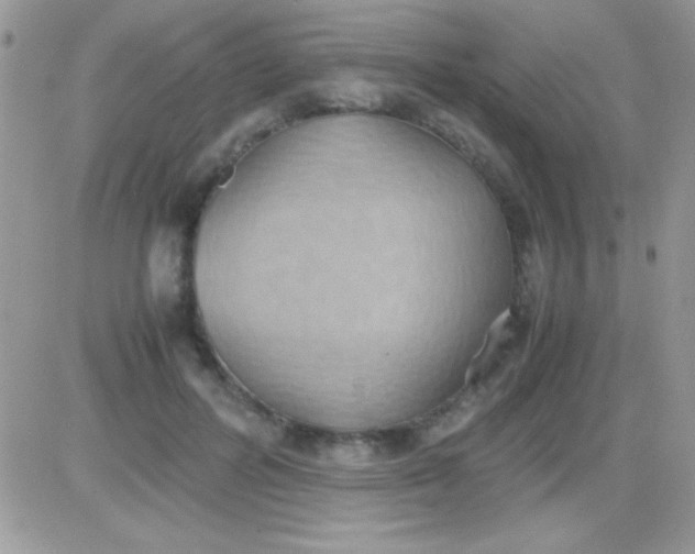 X0000081370600200701252016