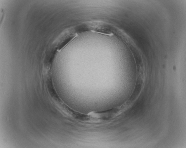 X0000081370601200701252016