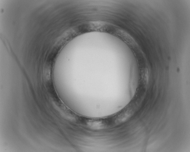 X0000081370602200701252016