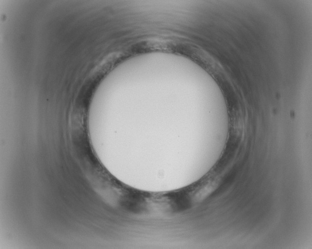 X0000081370603200701252016