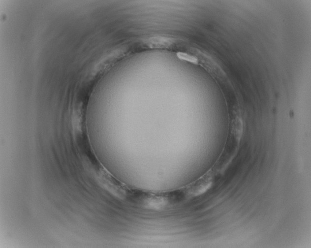 X0000081370604200701252016