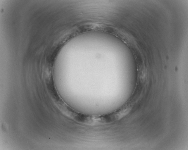 X0000081370607200701252016