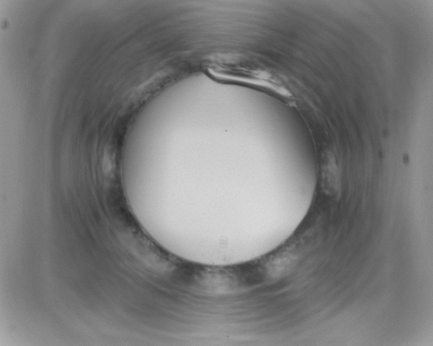 X0000081370608200701252016