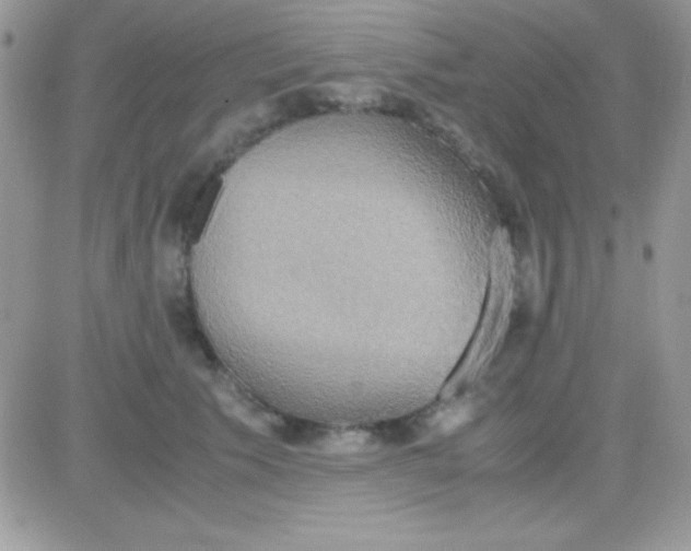 X0000081370609200701252016