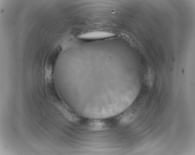 X0000081370610200701252016