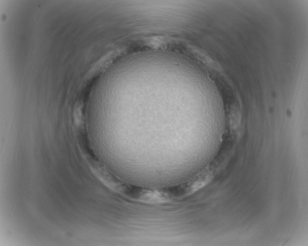 X0000081370611200701252016