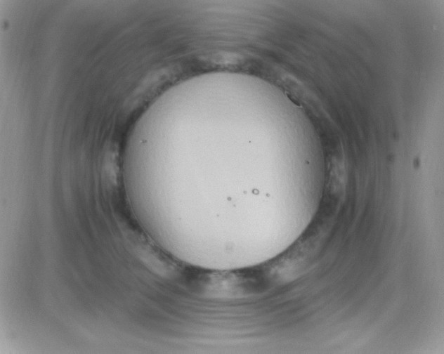 X0000081370612200701252016