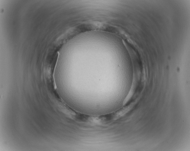 X0000081370613200701252016