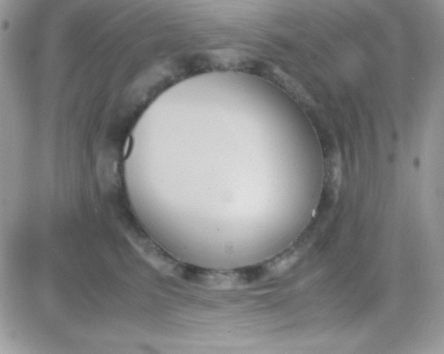 X0000081370615200701252016