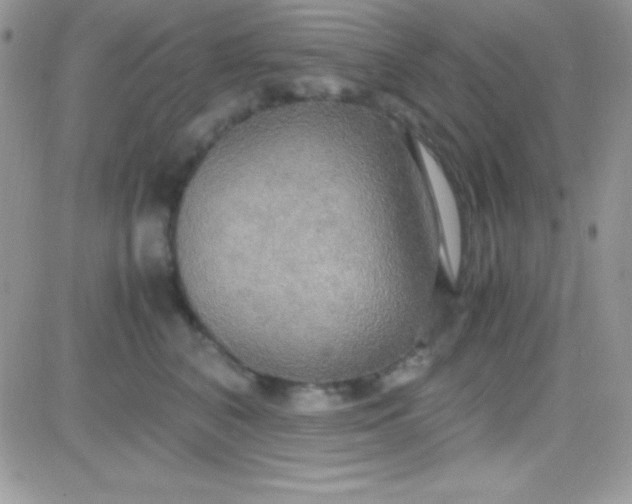 X0000081370616200701252016