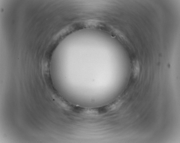 X0000081370619200701252016