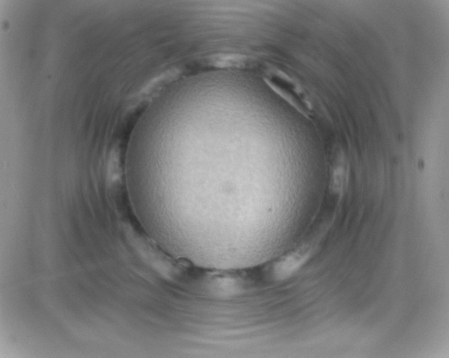 X0000081370620200701252016