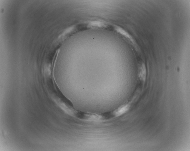 X0000081370621200701252016