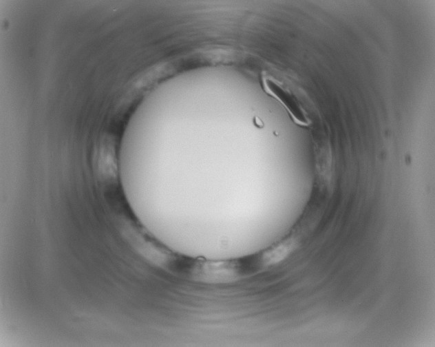 X0000081370622200701252016