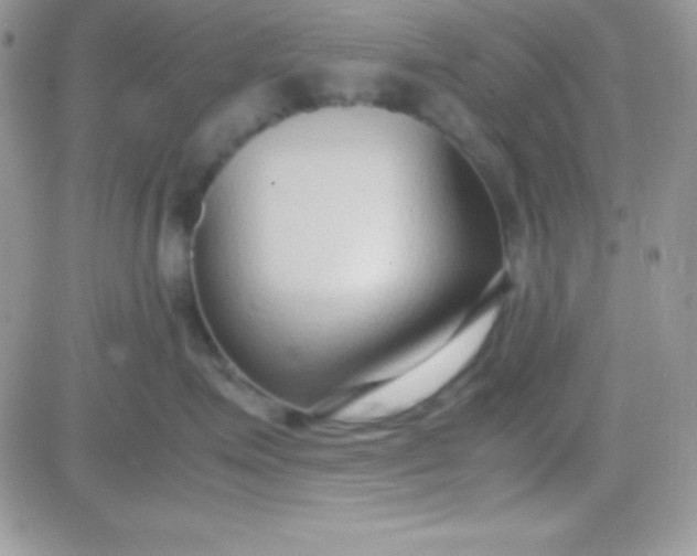 X0000081370623200701252016