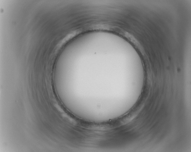 X0000081370625200701252015