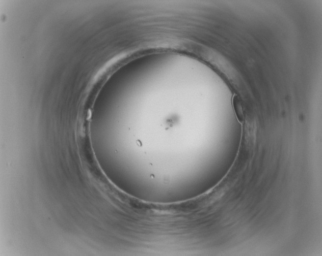 X0000081370628200701252015