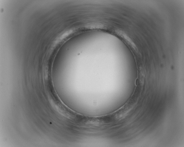 X0000081370631200701252015