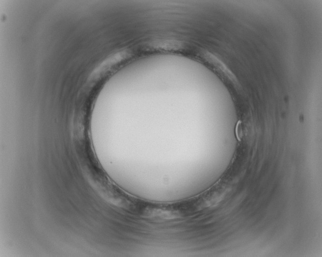 X0000081370635200701252015