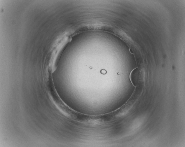 X0000081370638200701252015