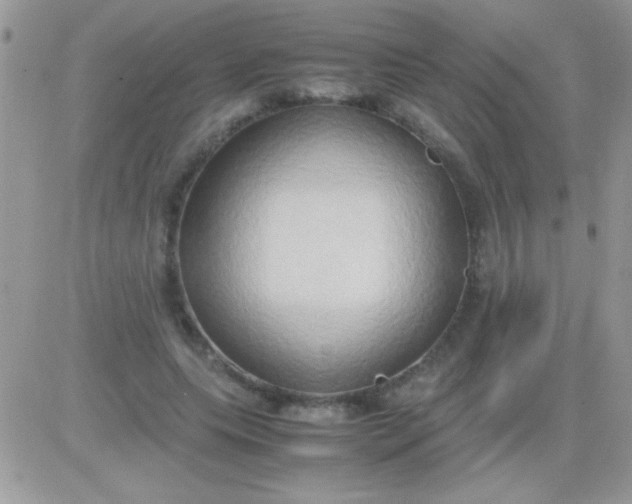 X0000081370639200701252015