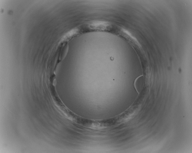 X0000081370641200701252015