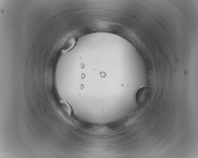 X0000081370642200701252015