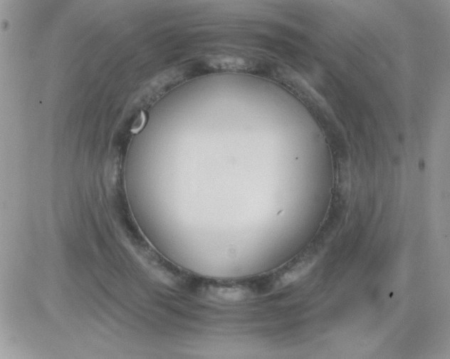 X0000081370645200701252015