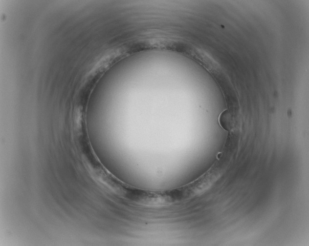 X0000081370646200701252015