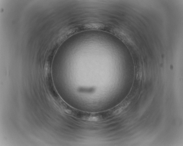 X0000081370647200701252015