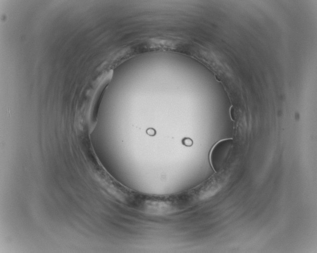 X0000081370649200701252015