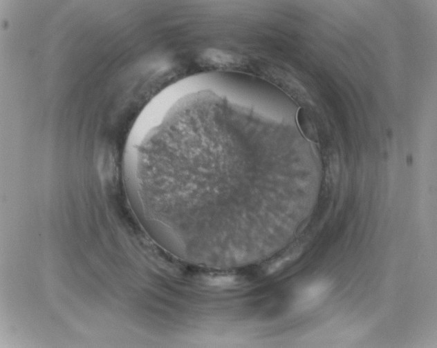 X0000081370651200701252015