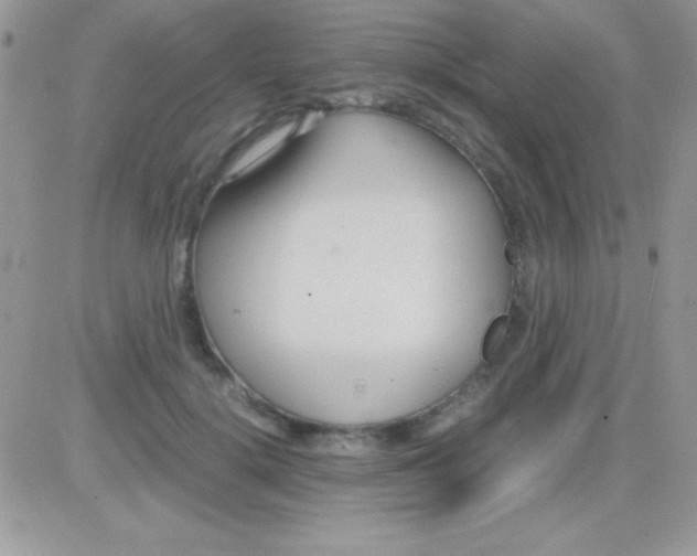 X0000081370652200701252015