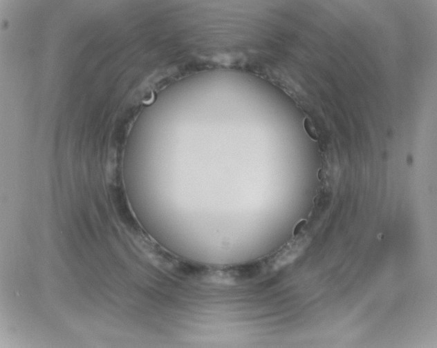 X0000081370656200701252015